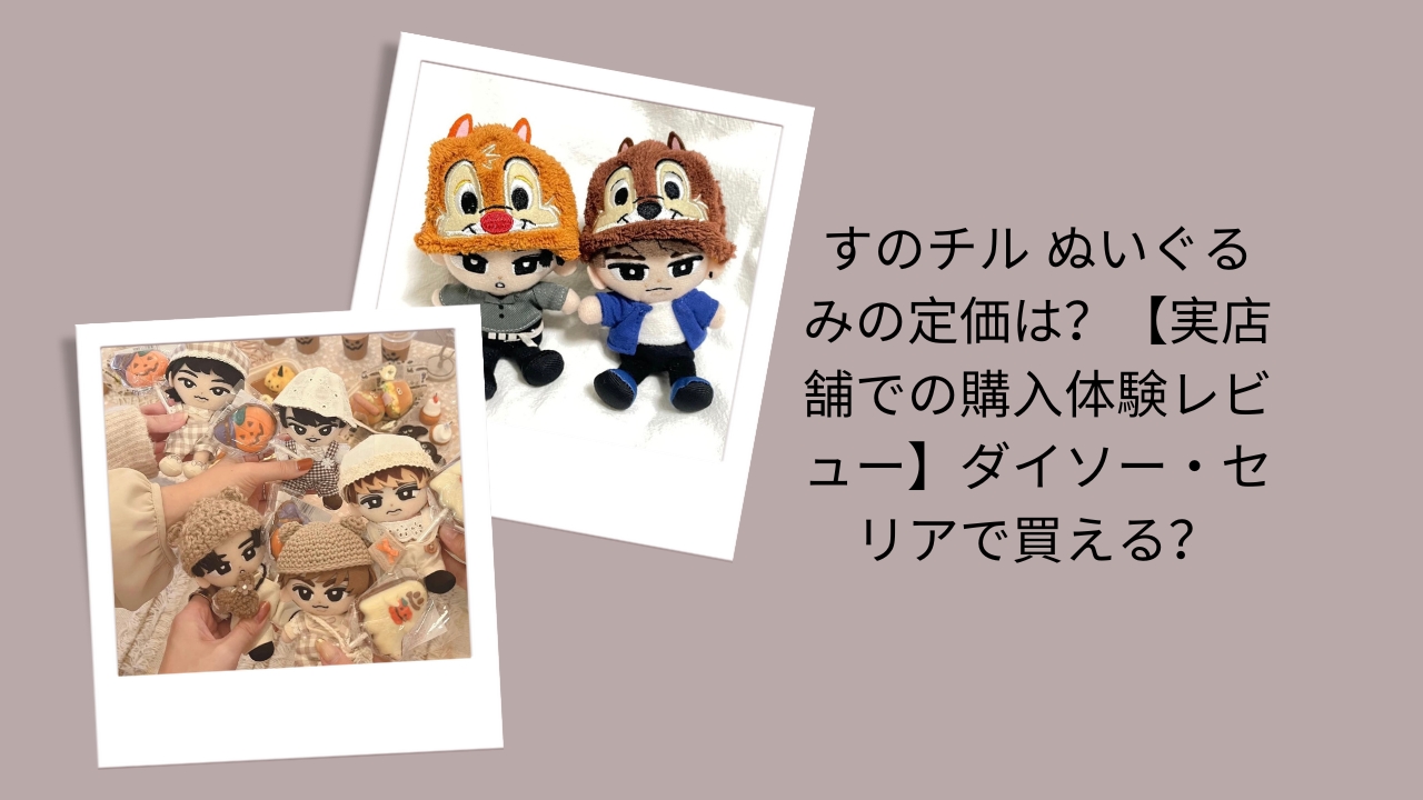 すのチル ぬいぐるみの定価は？【実店舗での購入体験レビュー】ダイソー・セリアで買える？