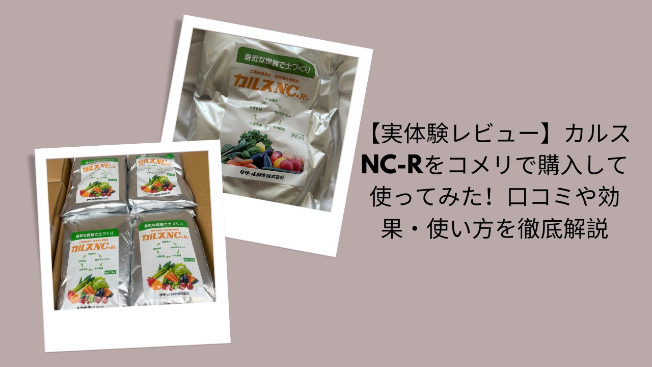 【実体験レビュー】カルスNC-Rをコメリで購入して使ってみた！口コミや効果・使い方を徹底解説