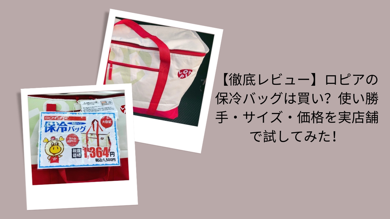 【徹底レビュー】ロピアの保冷バッグは買い？使い勝手・サイズ・価格を実店舗で試してみた！