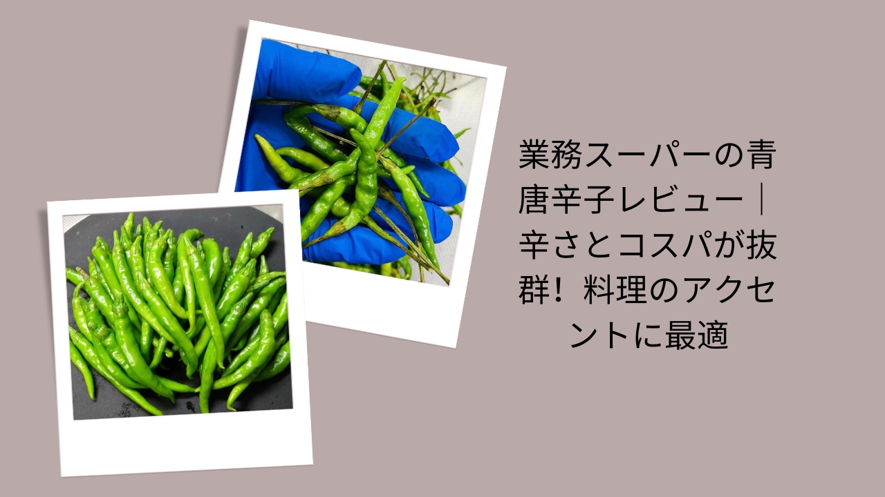 業務スーパーの青唐辛子レビュー｜辛さとコスパが抜群！料理のアクセントに最適
