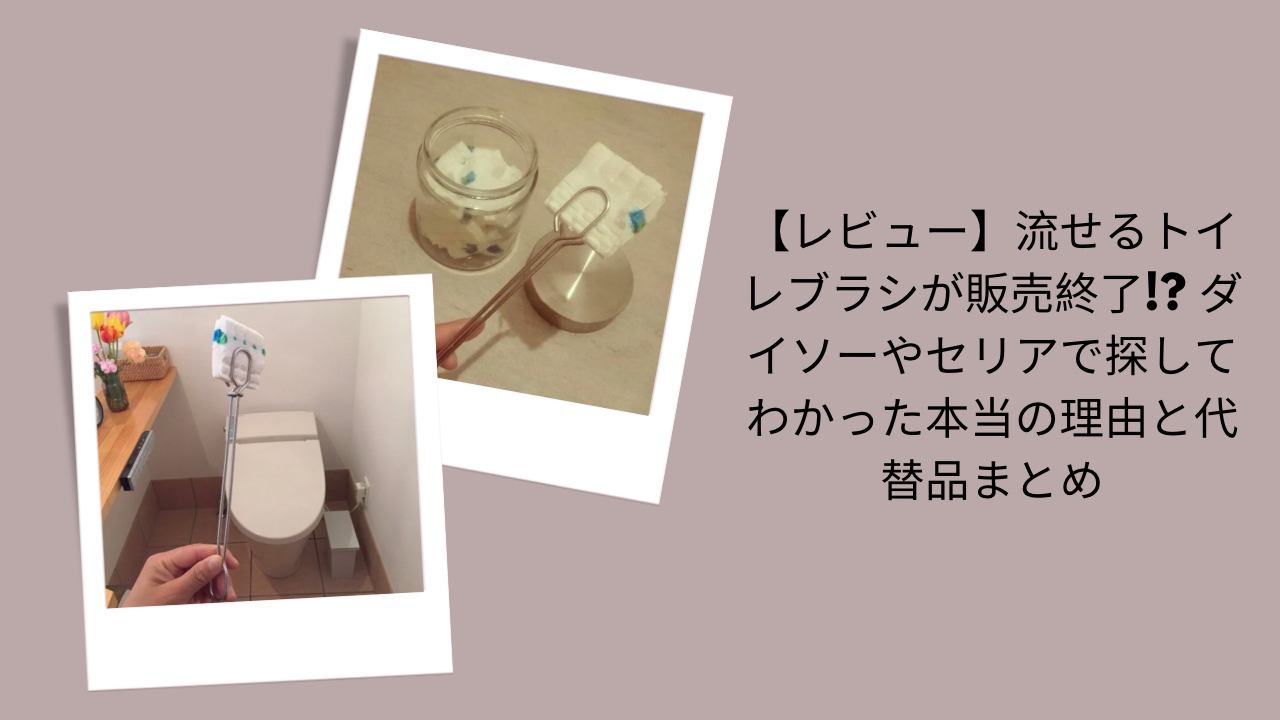 【レビュー】流せるトイレブラシが販売終了!? ダイソーやセリアで探してわかった本当の理由と代替品まとめ