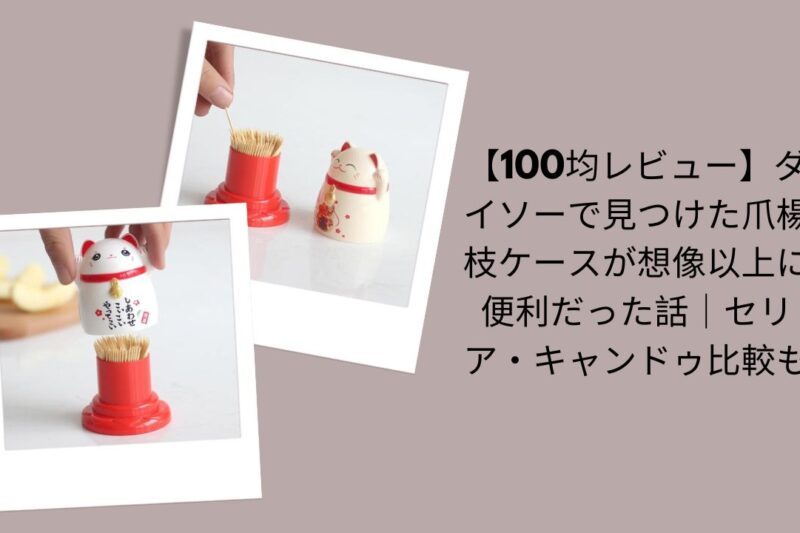 【100均レビュー】ダイソーで見つけた爪楊枝ケースが想像以上に便利だった話｜セリア・キャンドゥ比較も