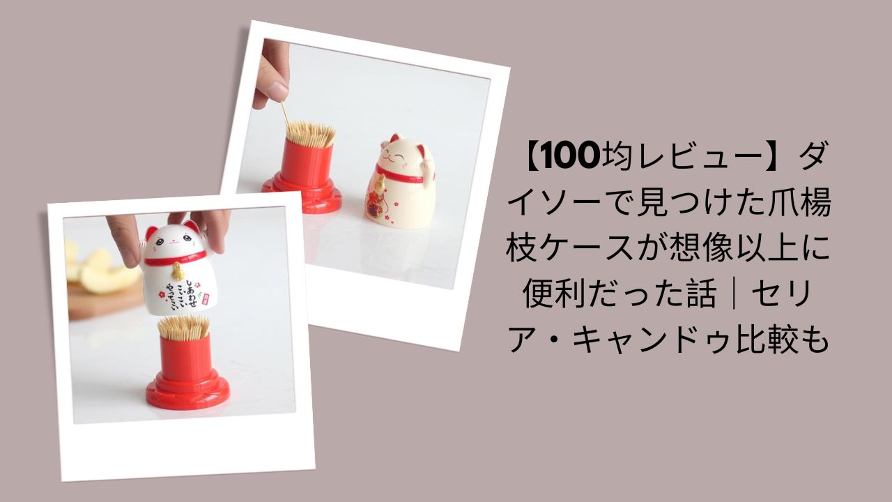 100均爪楊枝ケースレビュー, ダイソー爪楊枝ケース便利すぎる実体験, セリア・キャンドゥ爪楊枝ケース比較レビュー, 100均爪楊枝ケース使って分かったこと