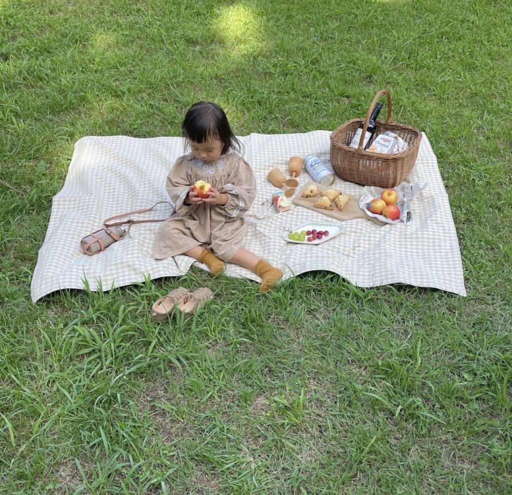 レジャーシート どこに売ってる, レジャーシート ダイソー セリア, レジャーシート 店舗 通販 比較, レジャーシート おすすめ 100均