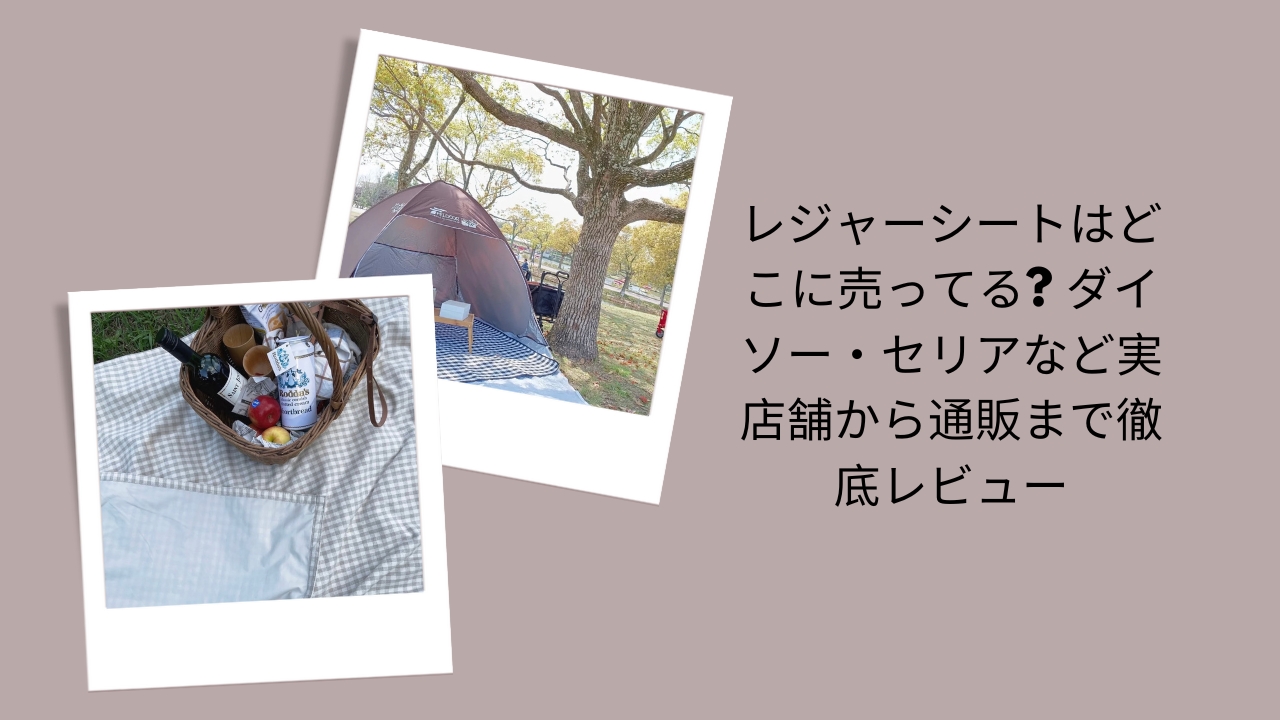 レジャーシートはどこに売ってる? ダイソー・セリアなど実店舗から通販まで徹底レビュー