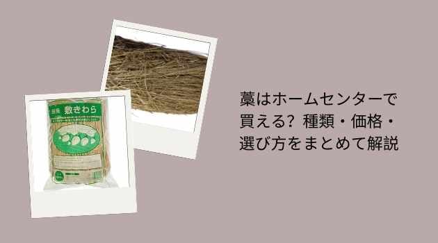 藁はホームセンターで買える？種類・価格・選び方をまとめて解説