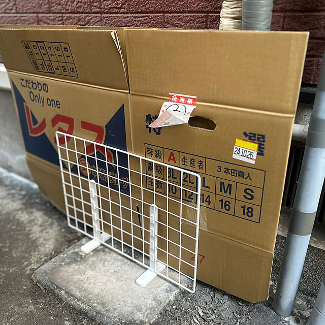 セリア 段ボール収納 ダイソー 比較 レビュー, 100均 段ボール 収納 おしゃれ コスパ, セリア ダイソー 収納グッズ 使い心地 検証, 段ボール 収納 実例 100均 おすすめ bD
